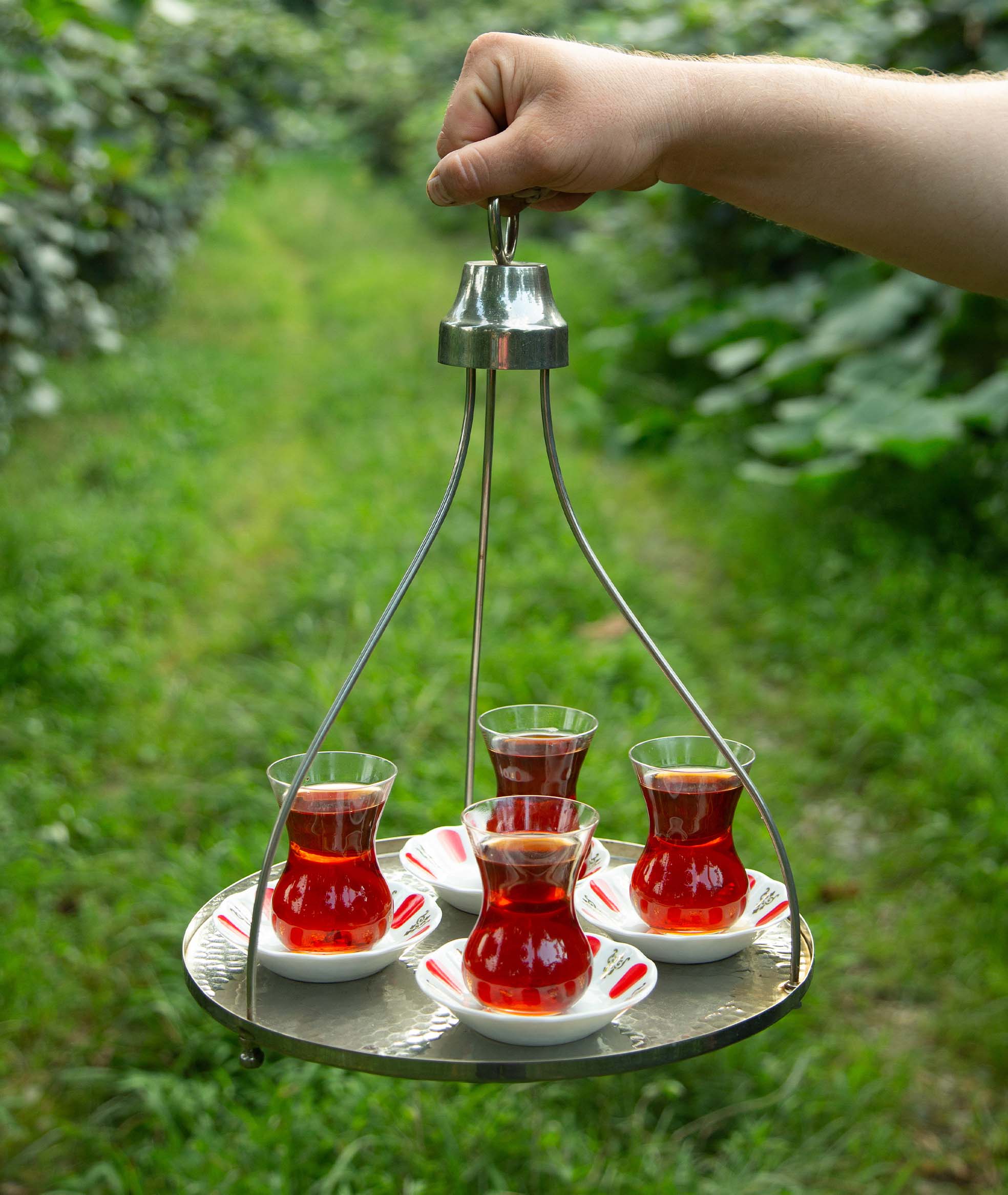 The Story of the Tulip Glass: More Than Just a Tea Cup